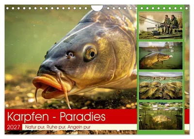 Produktbild von Karpfen - Paradies (Wandkalender 2027 DIN A4 quer), CALVENDO Monatskalender