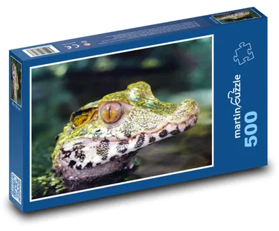 Obrázek produktu pro Puzzle 500 Kajman v divoké přírodě - martinpuzzle
