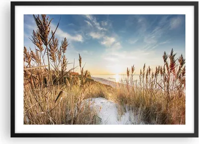 Produktbild von Gerahmtes Poster - Schwarzer Rahmen - Ähren Küste Sonne - 70x50 cm - Wand Bild - Wanddeko - Wandbilder - Kunstposter - Wandposter - Bilderrahmen - Bilder - Kunstdruck - P2BAA70x50-4653