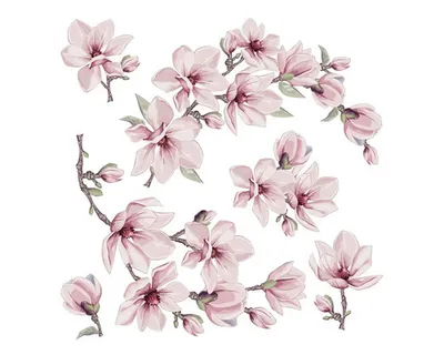 Obrázek produktu pro Samolepka na zeď sakura
