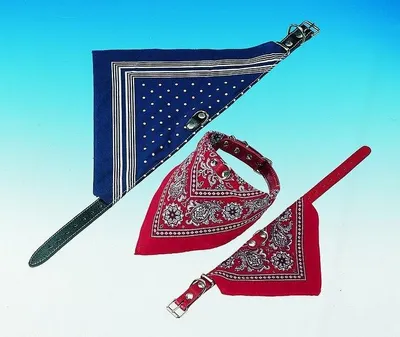 Produktbild von Nobby Halsband mit Tuch L: 70 cm rot
