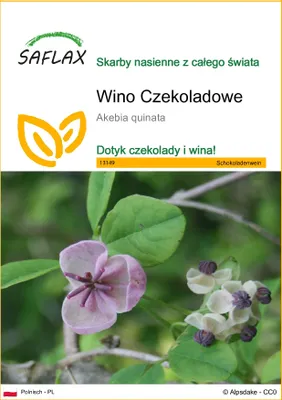 Zdjęcie produktu dla SAFLAX - Wino Czekoladowe - 10 Nasiona - Akebia quinata