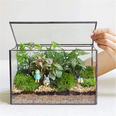 Produktbild von Rechteckiges Glas-Terrarium mit Deckel für Pflanzen