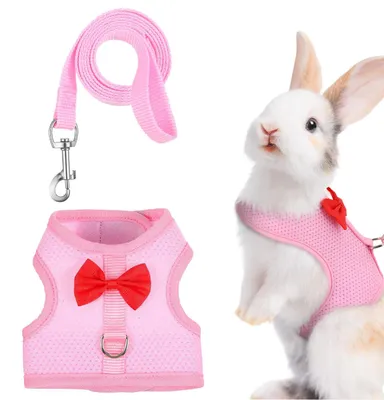 Produktbild von Harnesse- und Leinen-Set für kleine Haustiere wie Kaninchen und Katzen