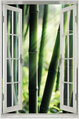 Produktbild von Wallario Wandbild mit Fenster-Illusion: Bambuswald und Sonnenstrahlen, Größe: 61 x 91,5 cm, Poster mit weißem Aluminiumrahmen