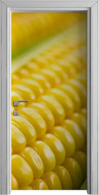 Produktbild von Tür Selbstklebende 90x210 cm Türfolie Türtapete Klebefolie - Gemüse Maiskolben