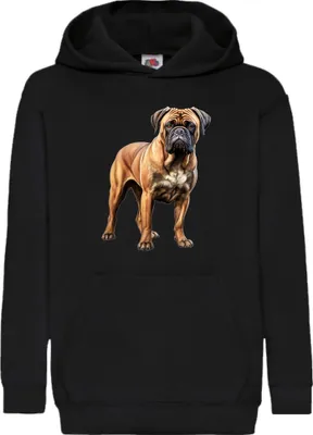 Zdjęcie produktu dla Dziecięca Bluza Z Kapturem Dogs Breeds Bullmastiff Dog Breed 005, 12-13 Jahr - 152 / Czarny