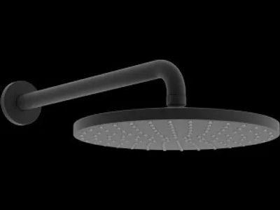 Obrázek produktu pro Hansa 4426020033 Sprchová hlavice, d 250 mm HANSAVIVA 4426
