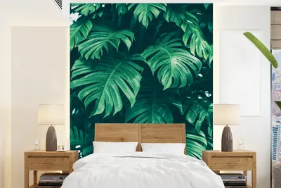 Produktbild von Kinderzimmer-Wandtapete - Monstera-Blätter - Pflanzen - Dschungel - Natur - Breite 205 cm x Höhe 280 cm - Dekoration für Kinderzimmer
