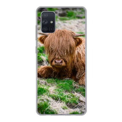 Produktbild von MuchoWow® Handyhülle Schutzhülle Hülle für Samsung Galaxy A71 Schottischer Highlander - Heu - Gras Silikon Softcase Handy Hülle - Kartenbesitzer