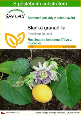 Obrázek produktu pro SAFLAX - Sladká granadilla - Passiflora ligularis - 20 Semena - S pěstebním substrátem bez klíčků