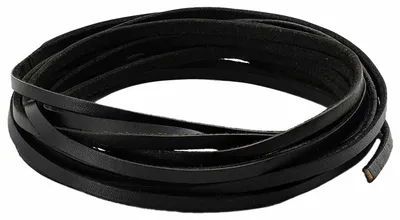 Immagine prodotto di vidaXL Cinghia in pelle nera 200 x 0,4 cm