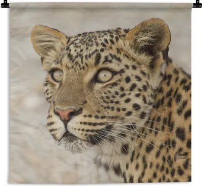 Produktbild von MuchoWow® Wandteppich Wandbehang Leopard - Makro - Braun 120x120 cm Tapisserie Dekoration Wandtuch - Modern - Baumwollgewebe