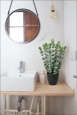 Immagine prodotto di Pianta artificiale di eucalipto Unyqoos® in vaso nero, 40 cm – decorazione realistica e facile da curare, ideale per la casa e l'ufficio