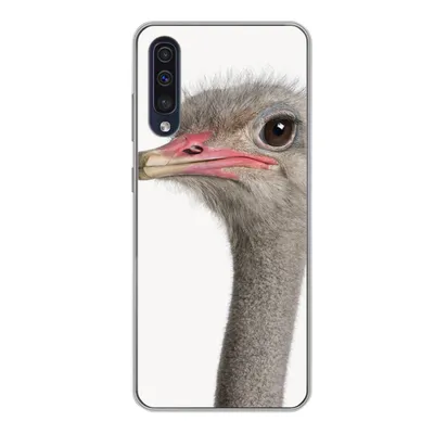 Produktbild von MuchoWow® Handyhülle Schutzhülle Hülle für Samsung Galaxy A50 Strauß - Tiere - Kinder - Jungen - Mädchen - Vogel Silikon Softcase Handy Hülle - Mobiltelefonhülle