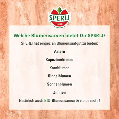 Produktbild von Sperli Sonnenblumensamen Hohe Riesen 86706, Blumensaat, Gartenpflanzen