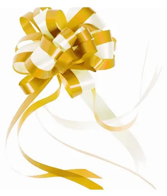 Image de Nœuds décoratifs pour mariages et fêtes