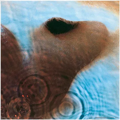 Obrázek produktu pro Pink Floyd – Meddle, obal alba (12") – 31 x 31 cm – plakát