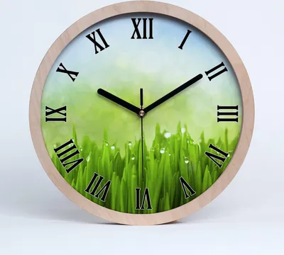 Produktbild von Holzuhr 20fi cm wanduhr - schwarze Spitzen - Gras