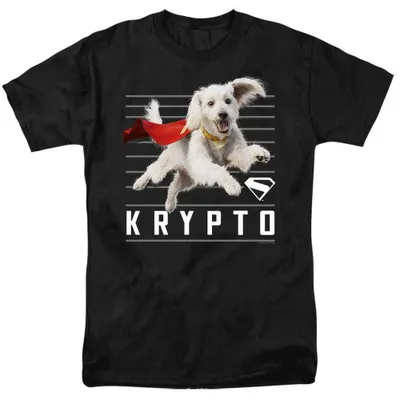 Produktbild von Superman - "2025" T-Shirt für Herren/Damen Uni, Baumwolle TV35518 (4XL) (Schwarz)