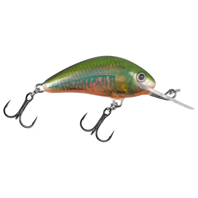 Produktbild von Salmo Hornet Wobbler 5cm schwimmend Holo Oikawa