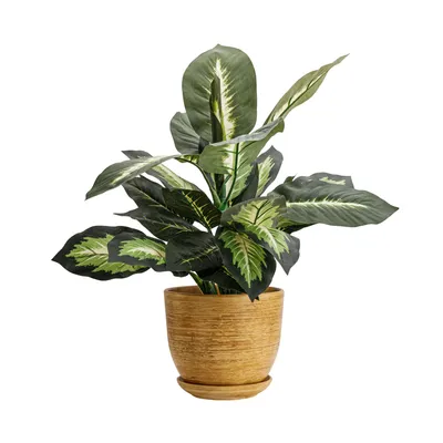 Immagine prodotto di Vaso in ceramica Rotondo con piattino marrone chiaro 16 cm con foro di drenaggio