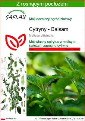 Zdjęcie produktu dla SAFLAX - Cytryny - Balsam - 150 Nasiona - Z podłożem uprawowym wolnym od zarazków - Melissa officinalis