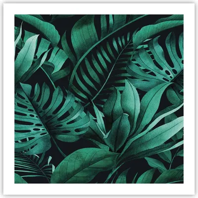 Produktbild von Poster - Poster ohne Rahmen - Blätter Grafiken Monstera - 60x60 cm - Wand Bild - Wanddeko - Wandbilder - Kunstposter - Wandposter - Bilder - Kunstdruck - Wanddekoration - Wandbild - P2XAC60x60-4886