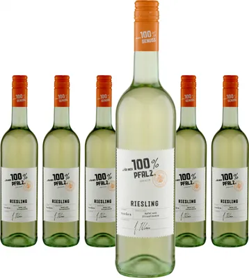 Produktbild von 6 x Für mich 100% Pfalz Riesling trocken