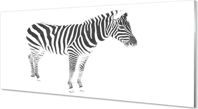 Produktbild von Glasbilder 125x50 Wandkunst painted Zebra