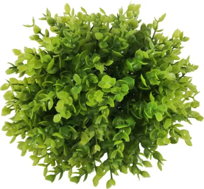 Zdjęcie produktu dla Kula z bukszpanu sztucznego 20 cm - idealna do dekoracji ogrodu