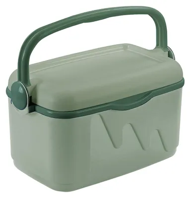 Immagine prodotto di CURVER box refrigerante con coperchio e manico S 10l verde