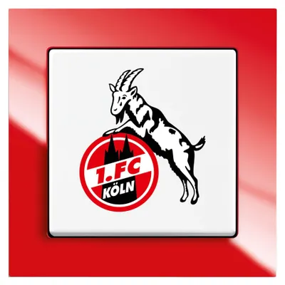 Immagine prodotto di Busch-Jaeger 2000/6 Uj/04