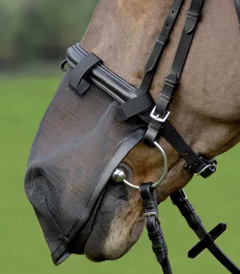 Produktbild von Waldhausen Fliegen Nasenschutz schwarz mit Klett + UV-Schutz, Größe:Pony