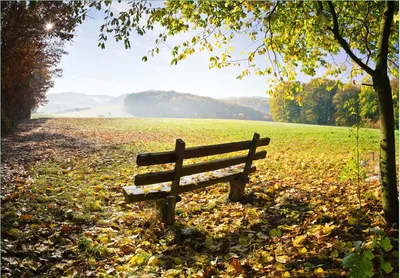 Produktbild von Wallario Fototapete Vliestapete, seidenmatte Oberfläche, einfache Verarbeitung, Größe 400 x 280 cm, Motiv Idyllische Holzbank in den Bergen