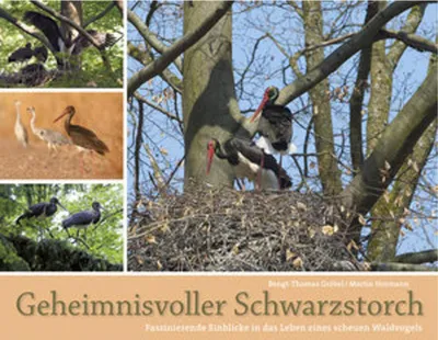 Obrázek produktu pro Geheimnisvolle Schwarzstörche
