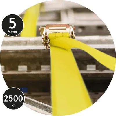 Zdjęcie produktu dla Pas napinający DUNLOP z blokadą zapadkową, 2500 kg, 5 m
