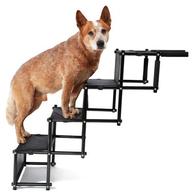 Immagine prodotto di Rampa per cani - Pieghevole - Portata 80 kg - Per auto e SUV - PVC
