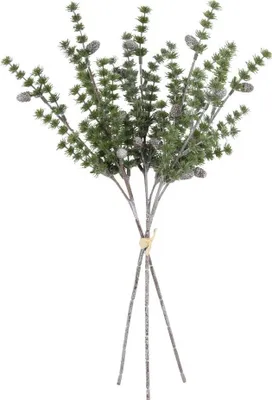 Image de Produits de jardin