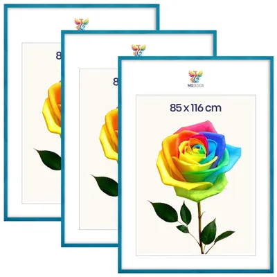 Produktbild von MG Design 3er Set Bilderrahmen Türkis 85x116 cm - Posterrahmen Echtholz mit Acrylglas, verstärkte Wandaufhängung, hoch/quer