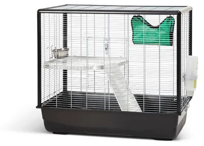 Productafbeelding van Savic Knaagdierkooi Zeno 2 zwart voor ratten en kleine knaagdieren 80x50x70CM