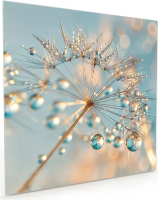 Produktbild von Küchenrückwand Spritzschutz Glas mit Motiv Pusteblume Wassertropfen 40 x 40 cm