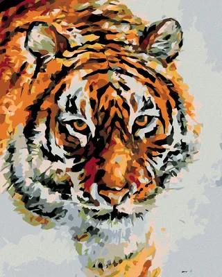 Produktbild von Zuty - Malen nach Zahlen - TIGER IM SCHNEE, 40x50 cm, ohne Keilrahmen
