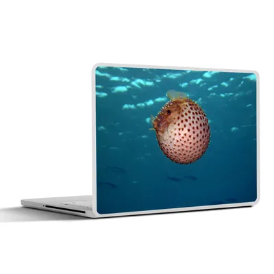 Produktbild von MuchoWow® Laptop Aufkleber Sticker Cover Cyclichthys spilostylus in einem blauen Meer 31x22.5 cm - Laptop-Deko