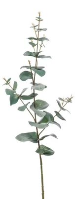 Produktbild von künstlicher Eucalyptus Blätterzweig H. 68cm grün Emerald Kunstblumen