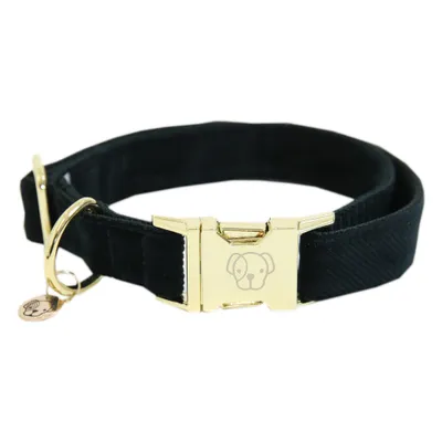 Produktbild von Kentucky Dogwear Corduroy Hundehalsband