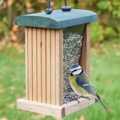 Produktbild von zooprinz Vogelhaus | Vogelfutterhaus | Aufhängeband | Massives Vollholz | Plexiglas | Wetterfest