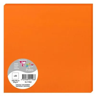 Produktbild von Clairefontaine Karte Pollen 160x160 210g kapuzrot