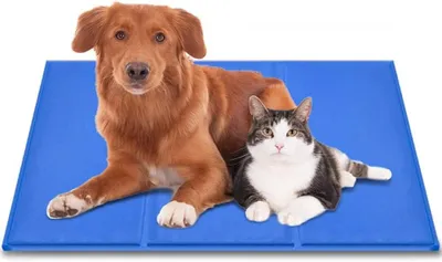 Produktbild von Resch Kühlmatte für Hunde, Katzen & Menschen - 50 x 65cm, Selbstkühlende Gelmatte für Hund & Katze, zur Kühlung der Körpertemperatur, Haustier