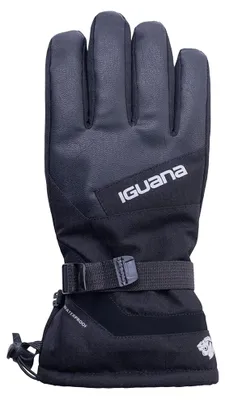 Productafbeelding van Iguana - Heren skihandschoenen "Vinter" IG3335 (maat L-XL) (zwart)